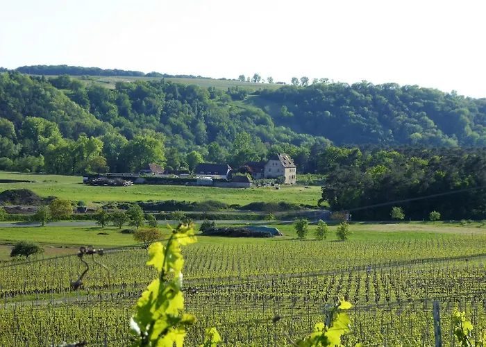 Elgersheimer Hof Διαμέρισμα Volkach