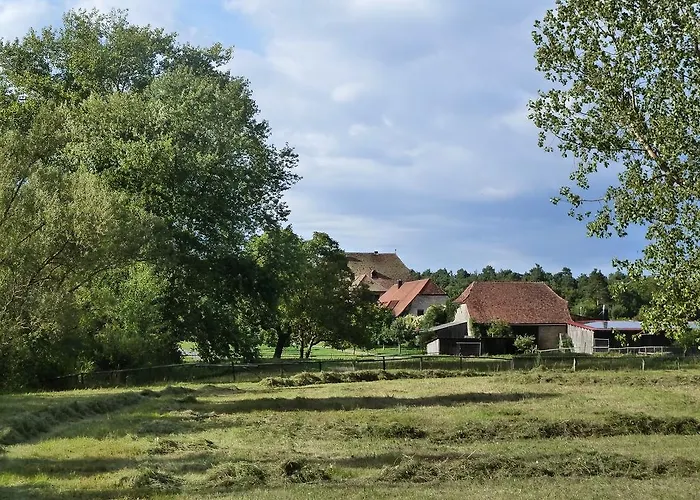 Elgersheimer Hof Διαμέρισμα *